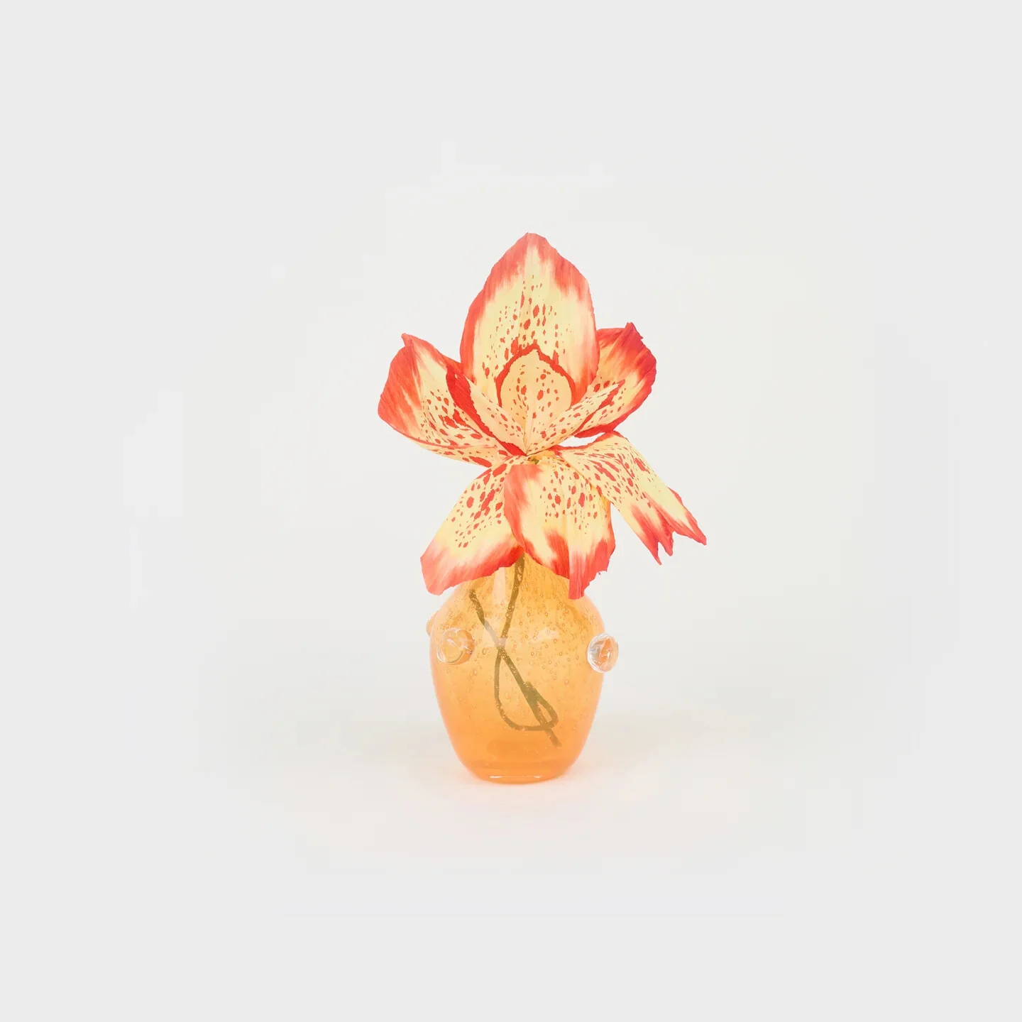 Le Petit Vase Paquerette | Orange, Clear