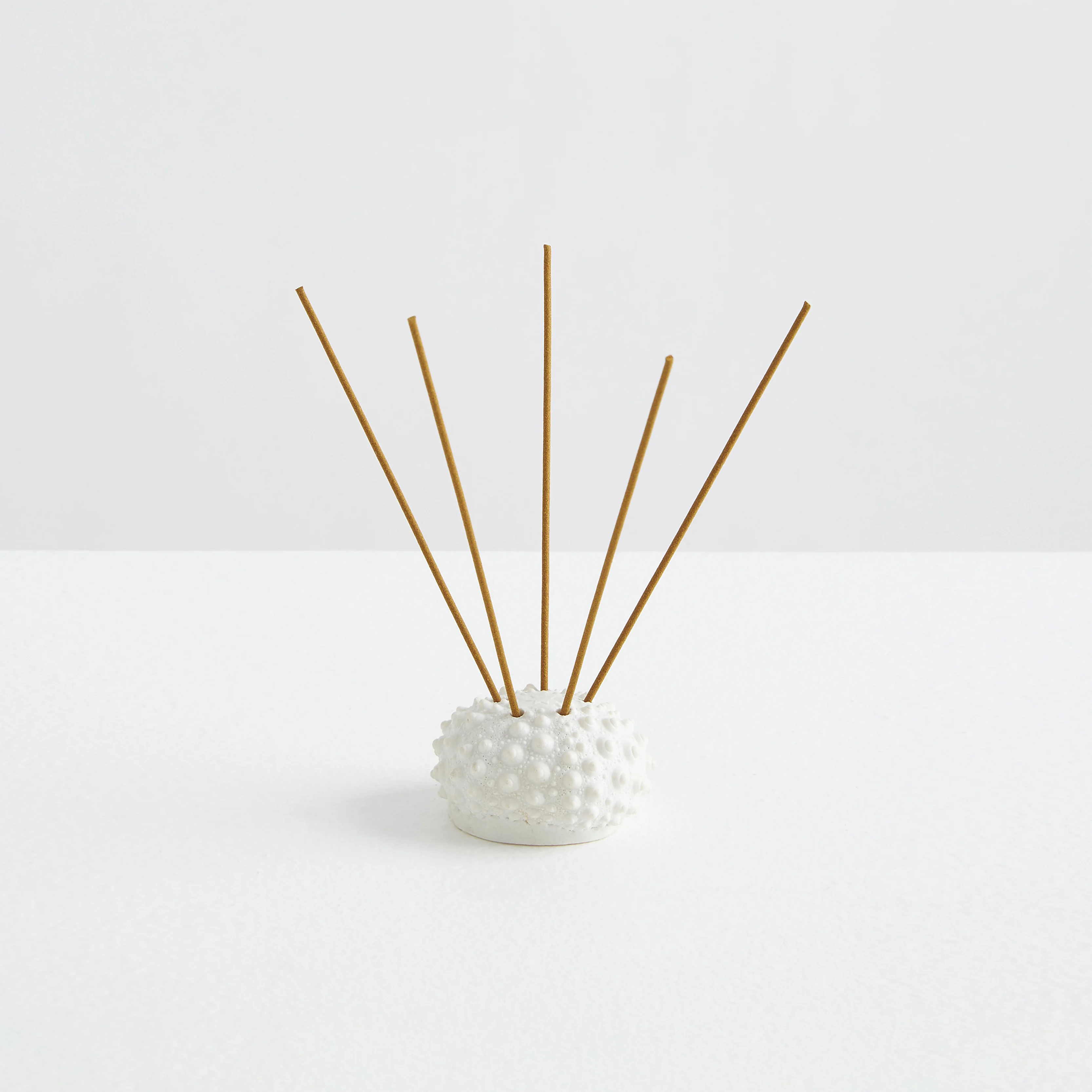 L'Oursin | The Sea Urchin