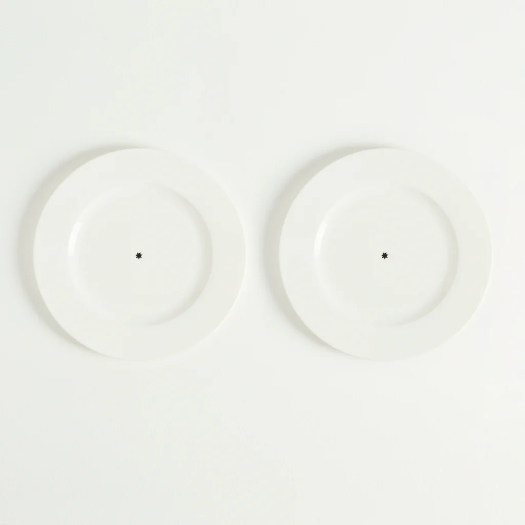 2 Star Dinner Plates